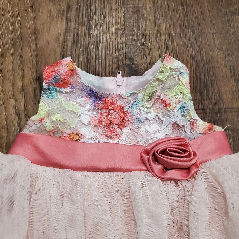 Bonnie Baby Girl Fancy Dress Pastel Pink Tulle Rainbow Floral Lace Rose Formal - Picture 2 of 9